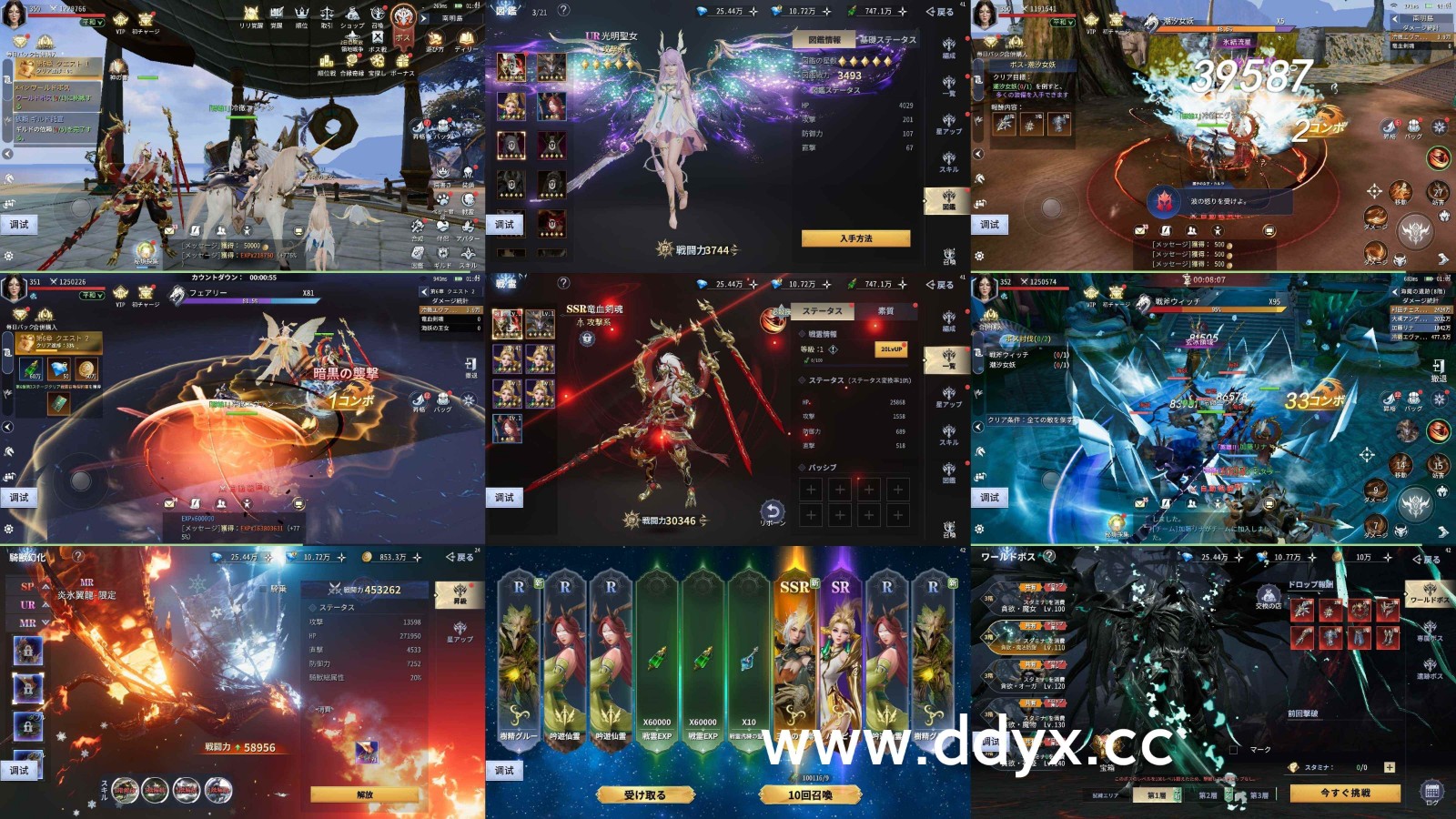 ddyx.jpg